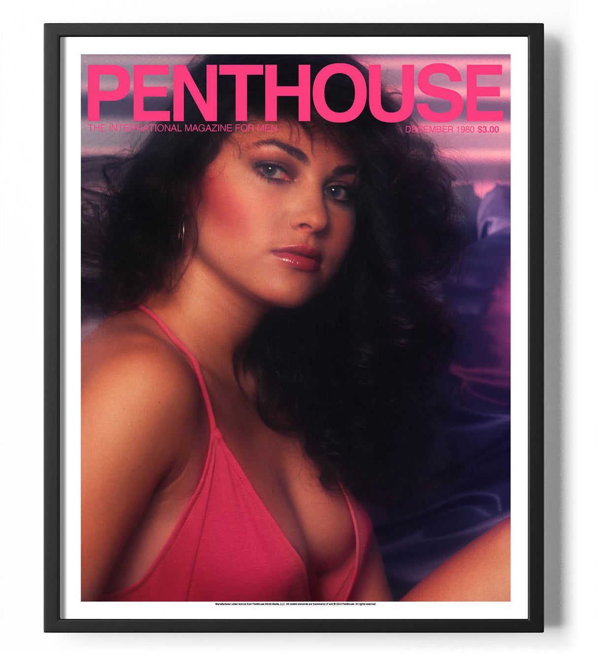 Penthouse Magazine December 1980 Cover Poster