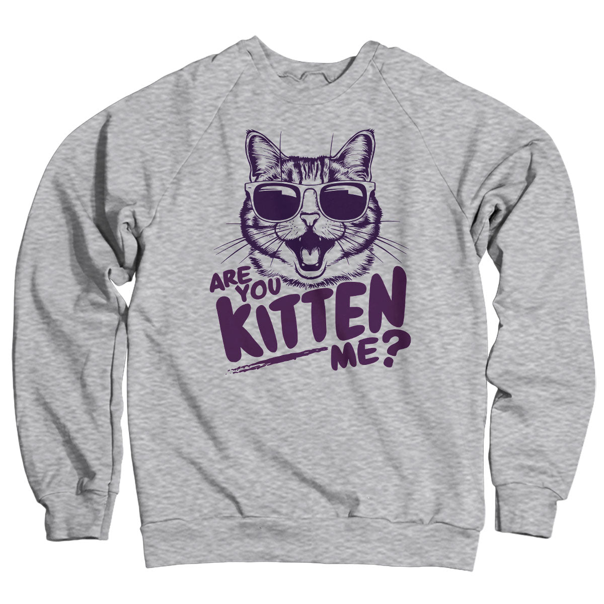 Are You Kitten Me? Sweatshirt