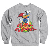 Woody Woodpecker Washed Japanese Logo Sweatshirt