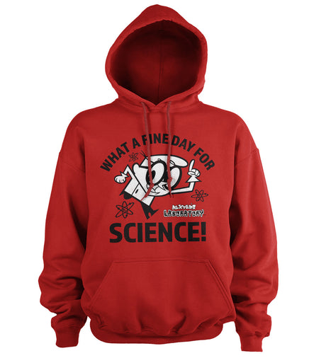 What A Fine Day For Science Hoodie